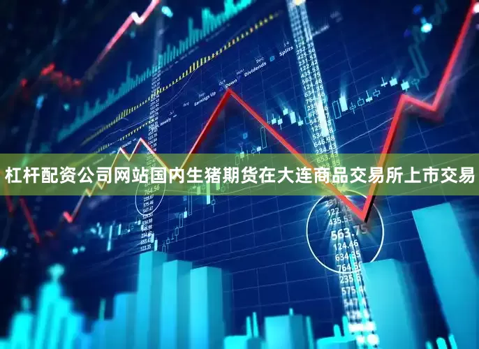 杠杆配资公司网站国内生猪期货在大连商品交易所上市交易