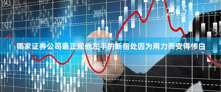 哪家证券公司最正规他左手的断指处因为用力而变得惨白
