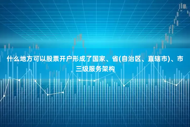 什么地方可以股票开户形成了国家、省(自治区、直辖市)、市三级服务架构